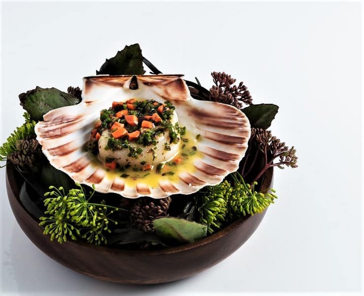 31 CORBYCL Isle of Mull Scallop